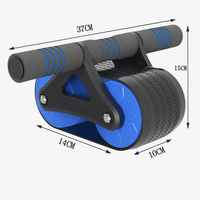Double Wheel Abdominal Exerciser