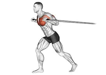 5 Levels Elastic Band